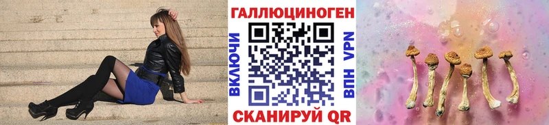 как найти   Семёнов  Галлюциногенные грибы Cubensis 